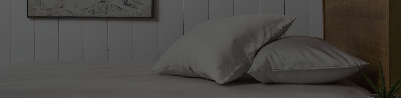 Pillow Cases Pillow Cases